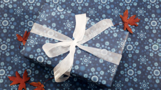Illustration for article titled Wrap Your Gifts in Influenza This Year